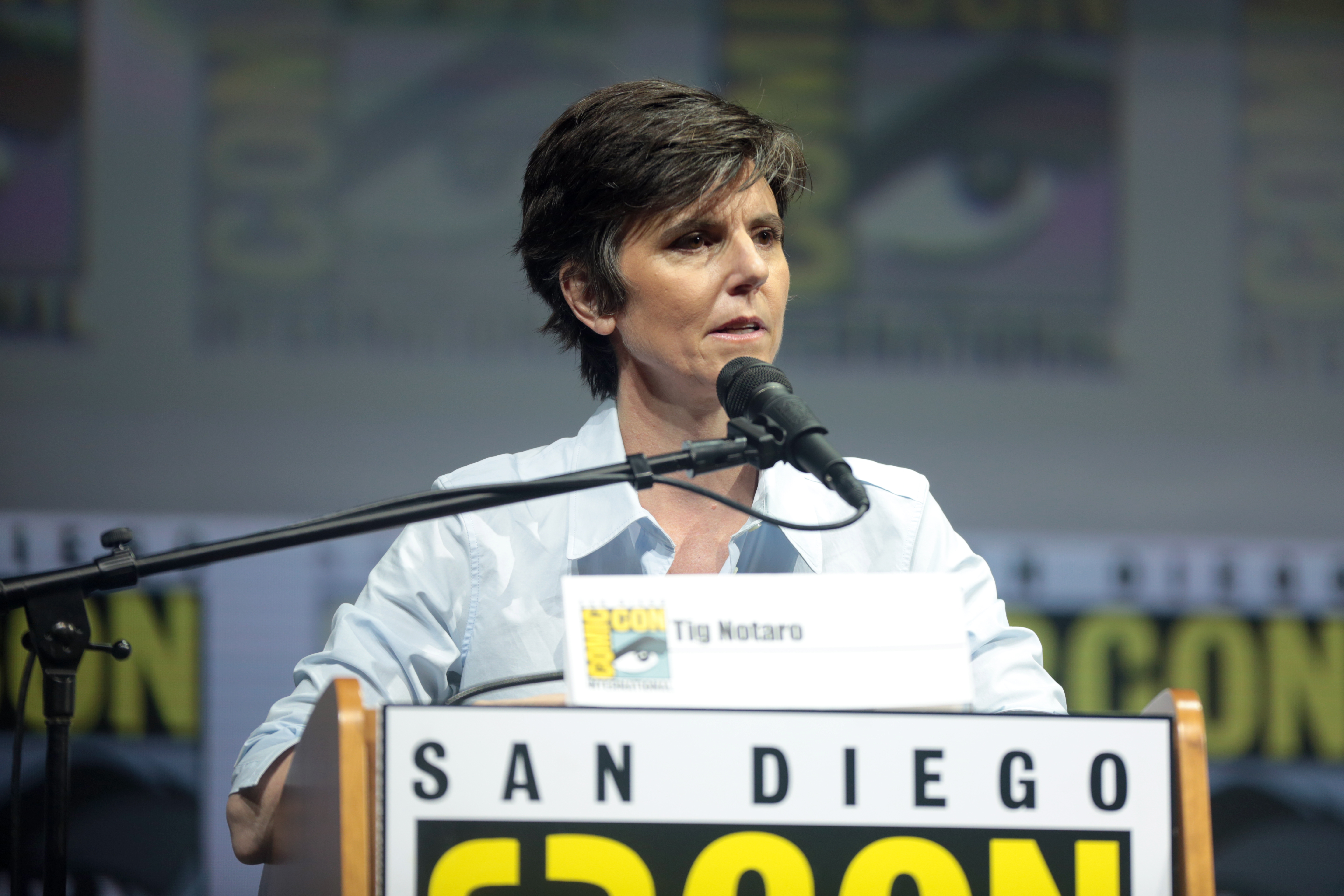 Тиг нотаро. Tig Notaro. Тиг Нотаро карьера. Тиг Нотаро американская писательница. Тиг Нотаро в Дискавери.