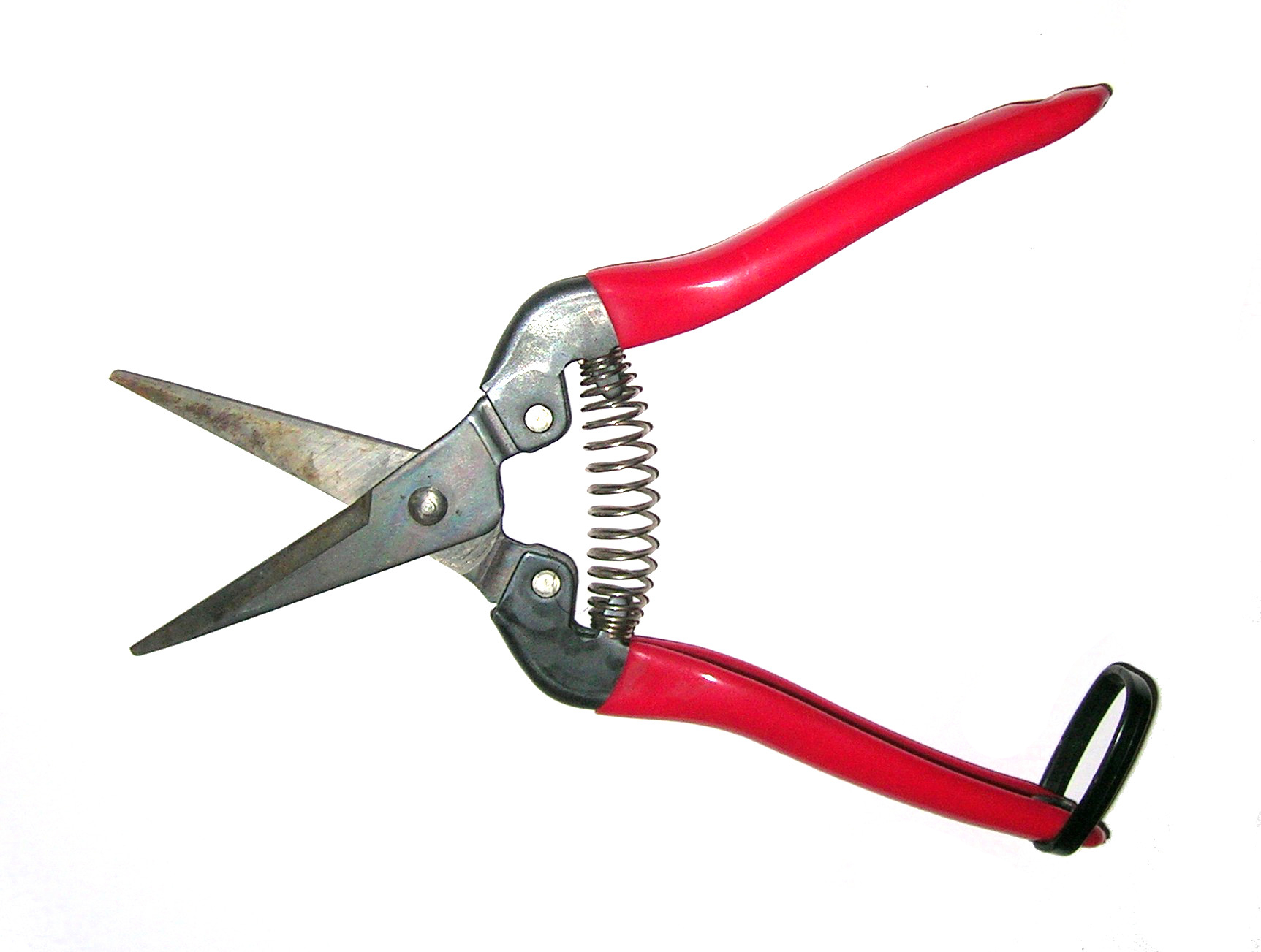 Pruning shears - Wikipedia