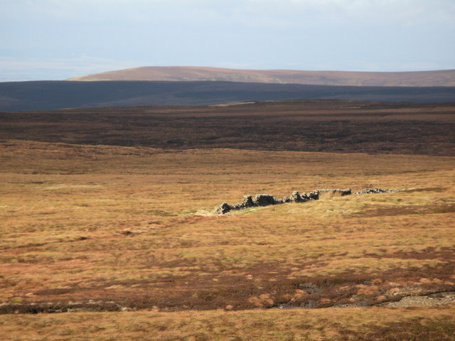 File:(Part of) Broad Mea - geograph.org.uk - 608187.jpg