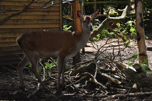 Paradise Wildlife Park - Wikipedia