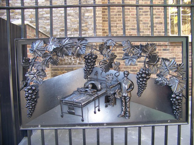 File:A decorative panel in the railings - geograph.org.uk - 573486.jpg