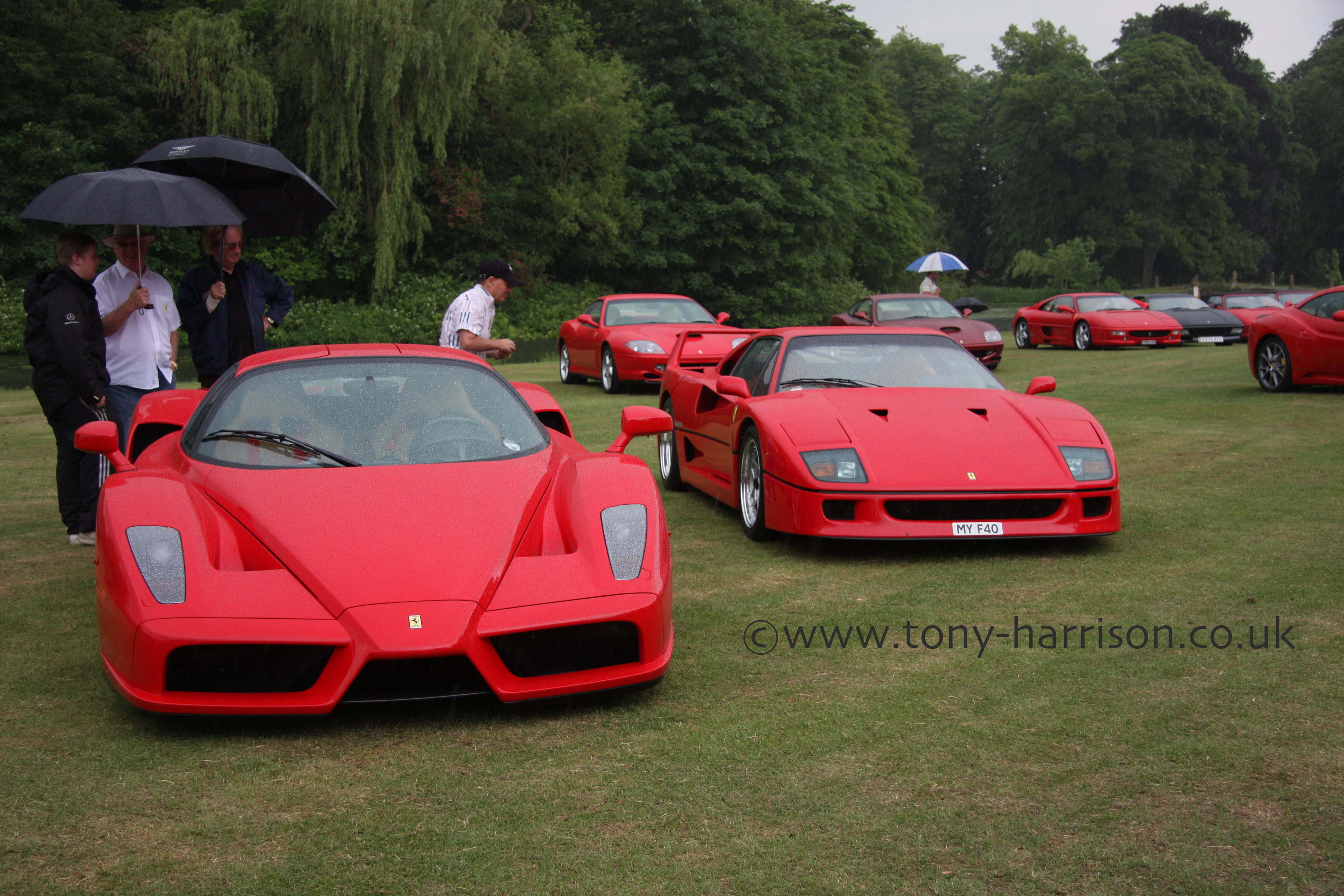 Ferrari Enzo 1990