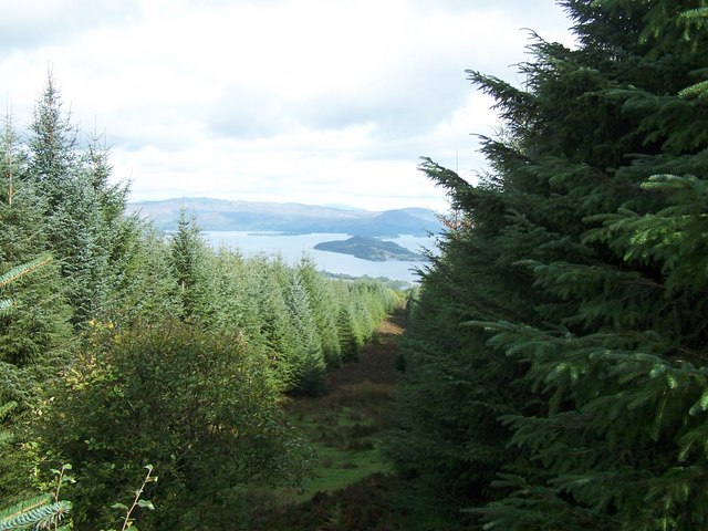 File:Bannachra Muir, View of Loch Lomond - geograph.org.uk - 249043.jpg