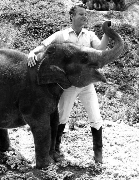 Bill Burrud Animal Kingdom 1968