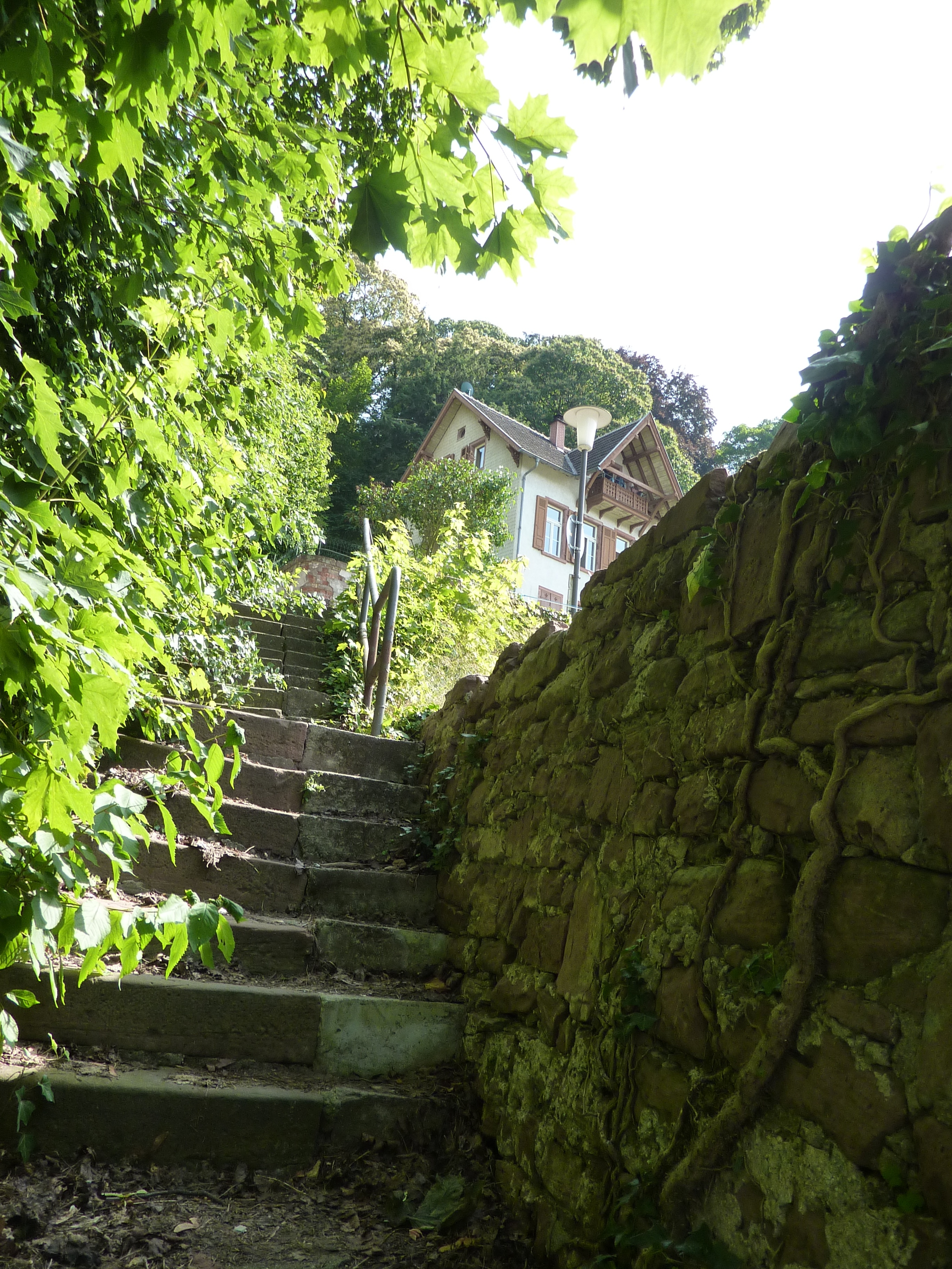 Schlosswolfsbrunnenweg 6 Heidelberg, Haus von Anna Blum