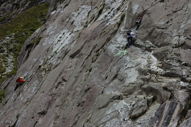 True Palisade Climber лестница