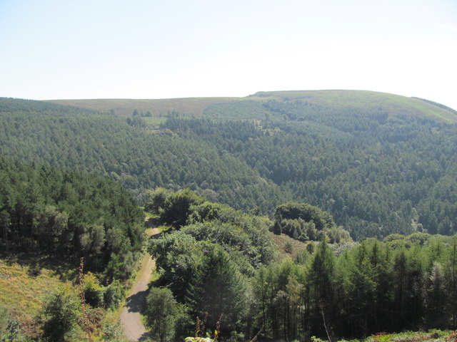 File:Cwmcarn Forest - geograph.org.uk - 3212771.jpg