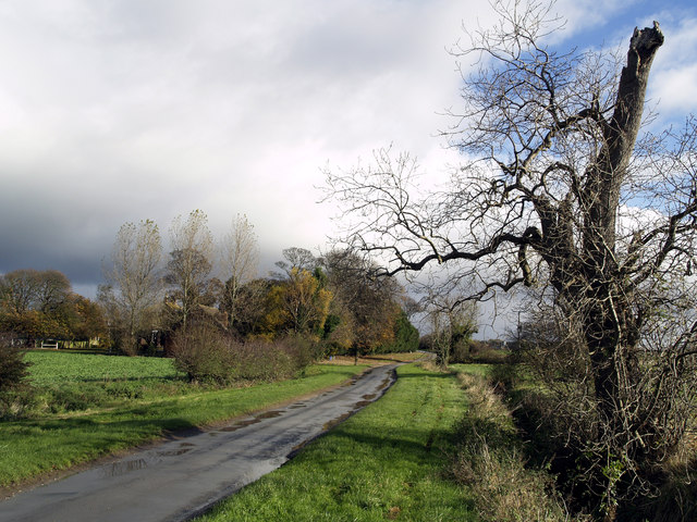 File:East End Road, Preston, Hull - geograph.org.uk - 609518.jpg