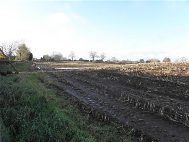 File:Field in shadow, Ballybentagh - geograph.org.uk - 1586479.jpg