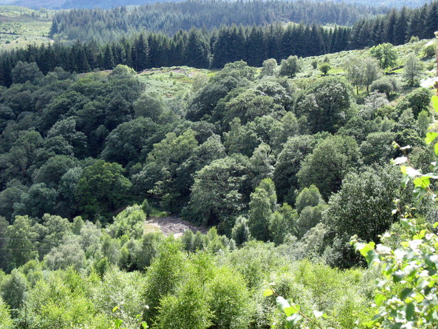 File:Forest enclosed spoil tips at Gwynfynydd Gold Mine - geograph.org.uk - 495678.jpg