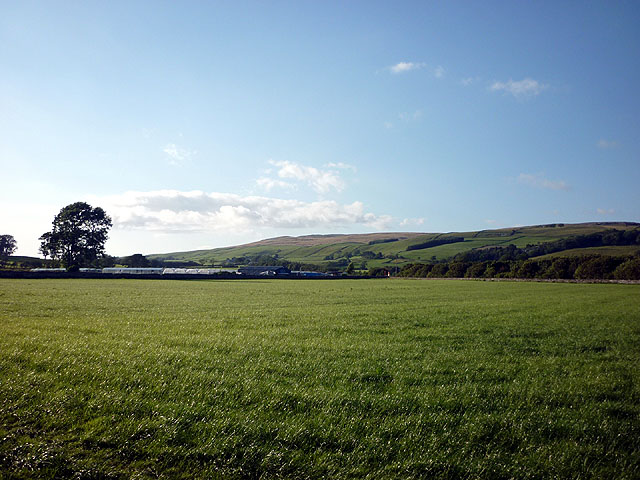 File:Growing With Grace, Clapham - geograph.org.uk - 2521552.jpg