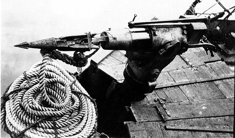 File:Harpoon mounted on a whaling boat, Alaska, ca 1915 (COBB 76).jpeg