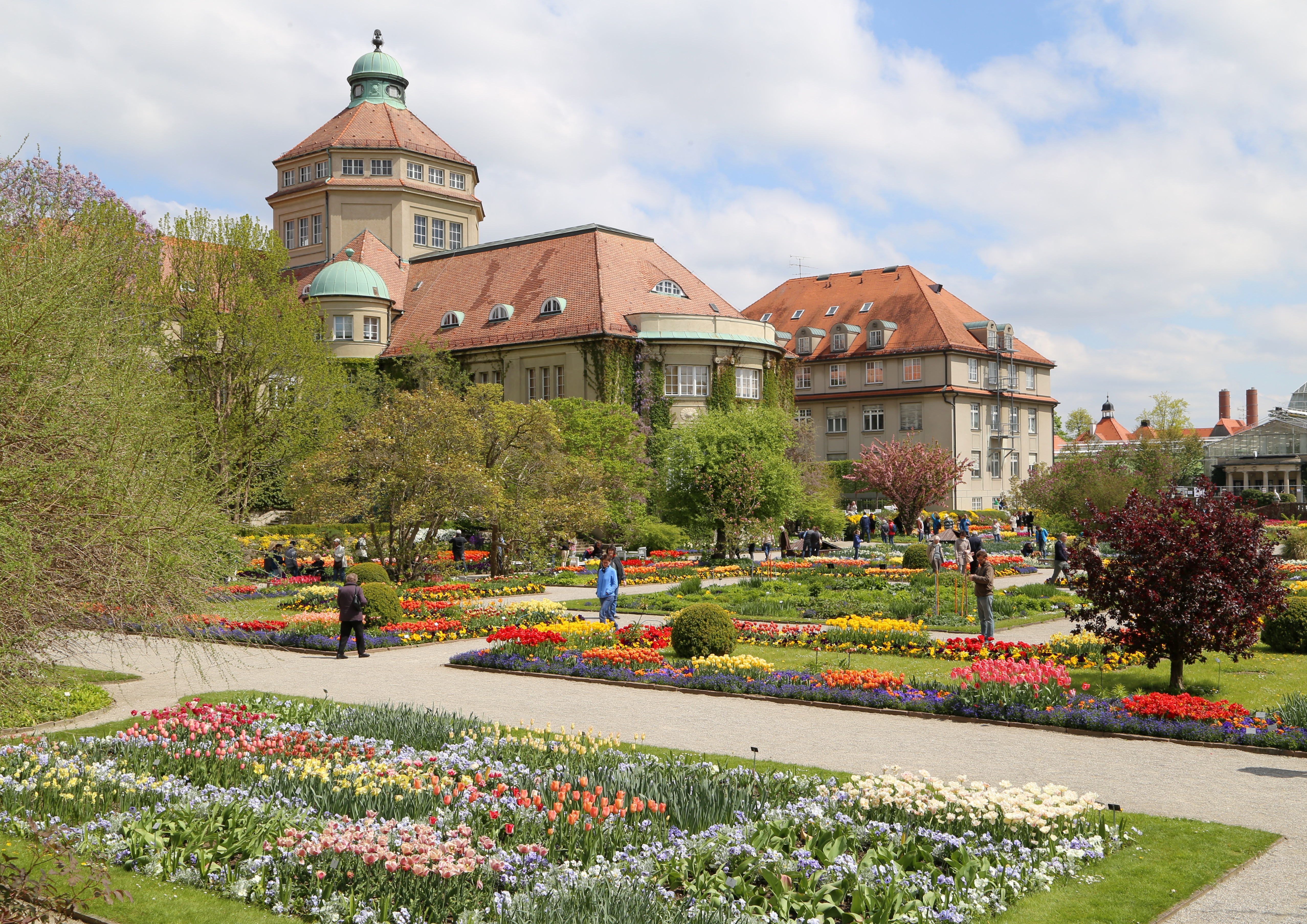 File Hauptgebaeude Und Tulpen Botanischer Garten Muenchen 1 Jpg