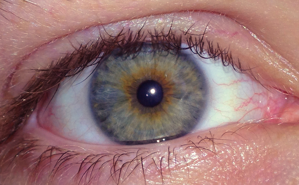 percentage of people with hazel eyes