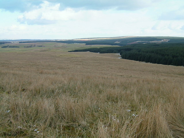 File:Hillside and Forest - geograph.org.uk - 131536.jpg