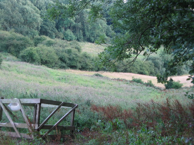 File:Hillside pasture above Stathern, Leicestershire - geograph.org.uk - 33909.jpg