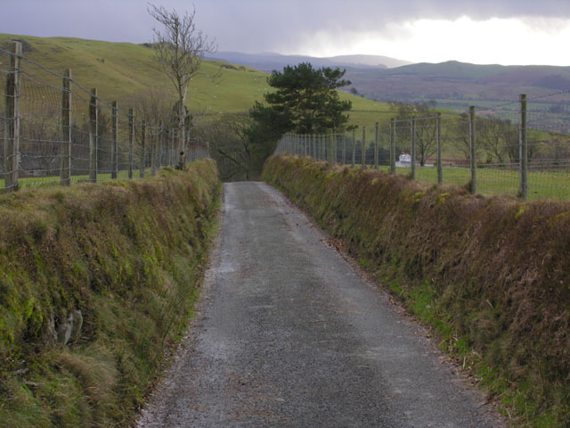 File:Lane east of Ffair-rhos - geograph.org.uk - 673599.jpg