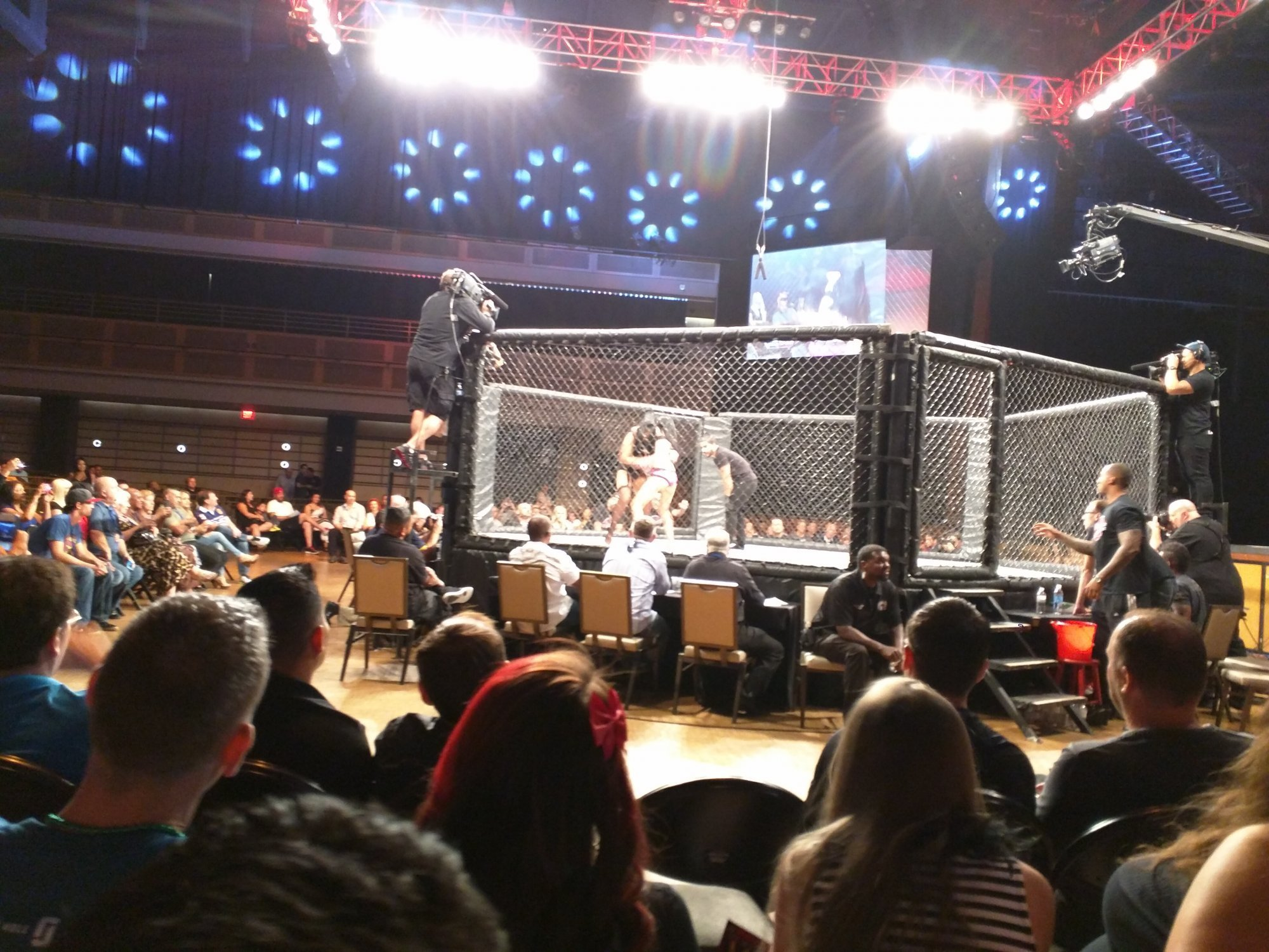 Lingerie Fighting Championships