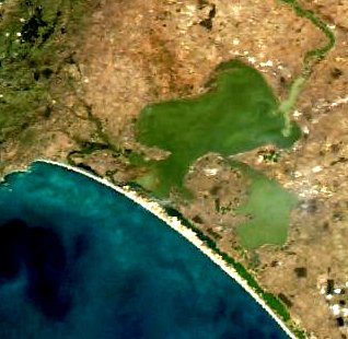 Lake Alexandrina (South Australia) Estuarine lagoon in South Australia, forming part of the Murray River mouth