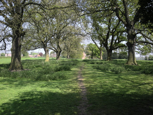 File:Newbold On Avon - geograph.org.uk - 820838.jpg