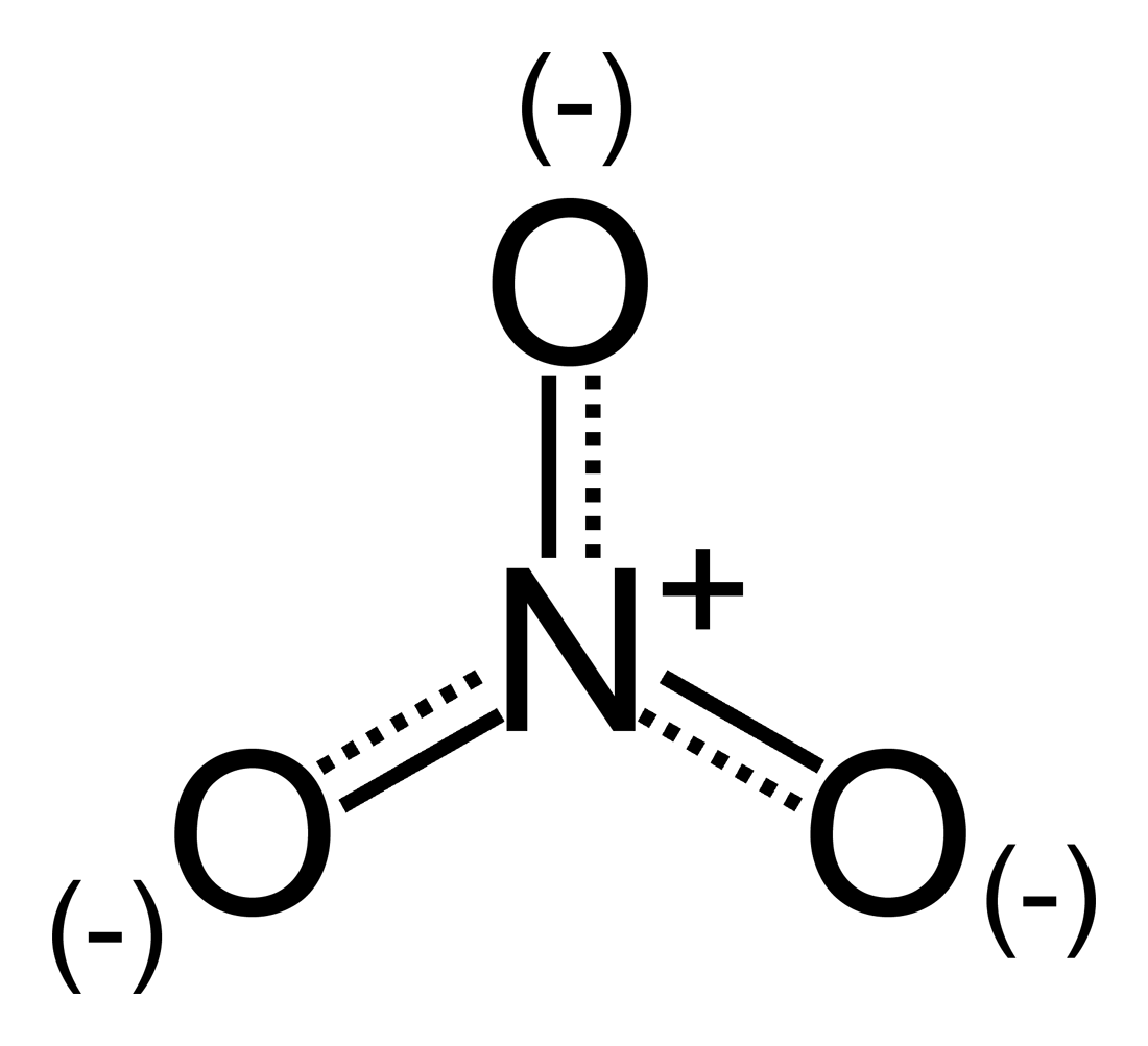 Nitrate Wikipedia