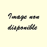 Pas d'image visible.