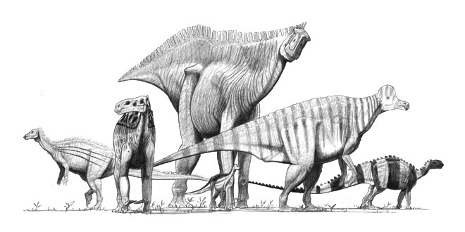 File:Ornithopods jconway.jpg