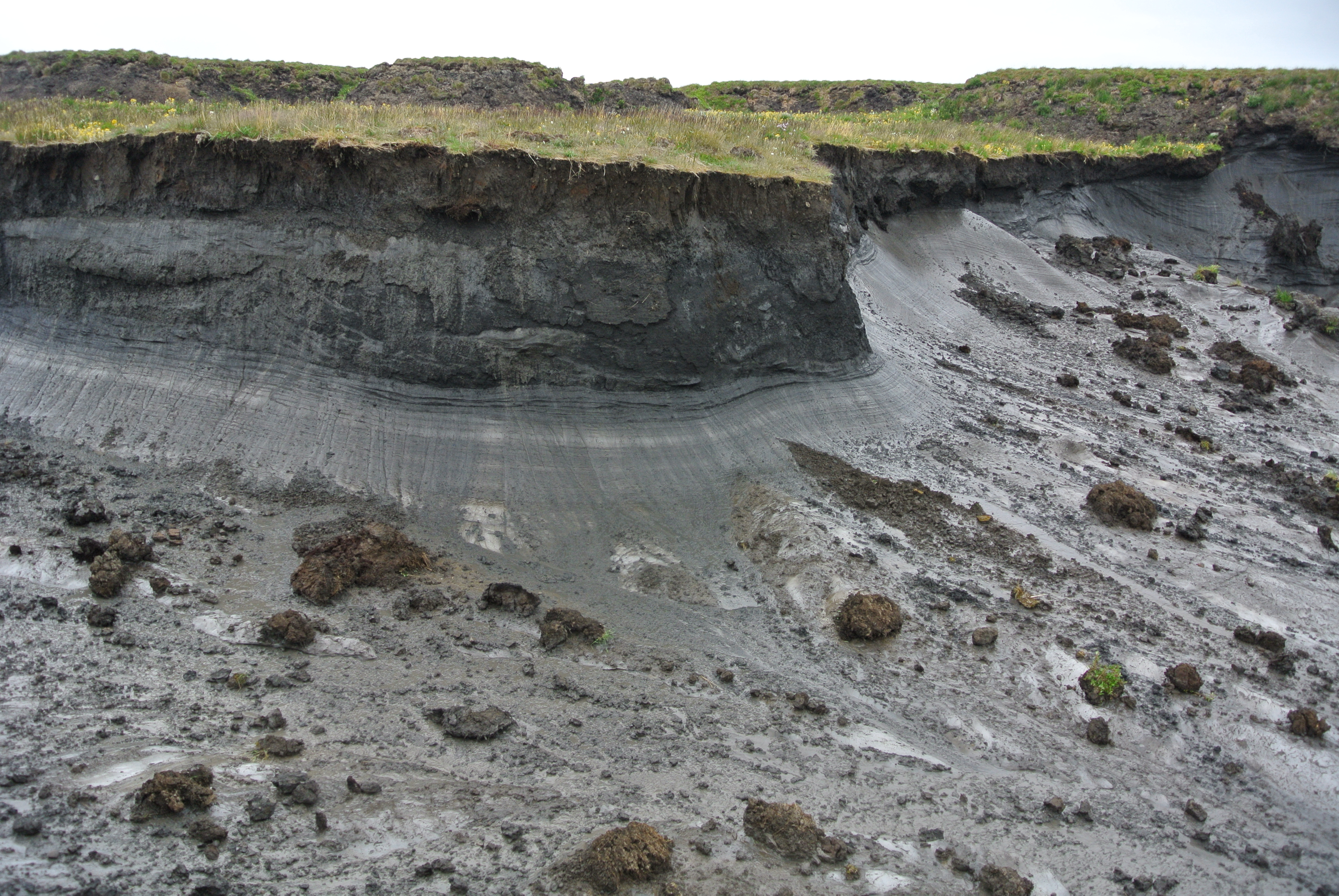 Permafrost sols. Permafrost. Термокарст. Сборка Permafrost. Термокарст со спутника.