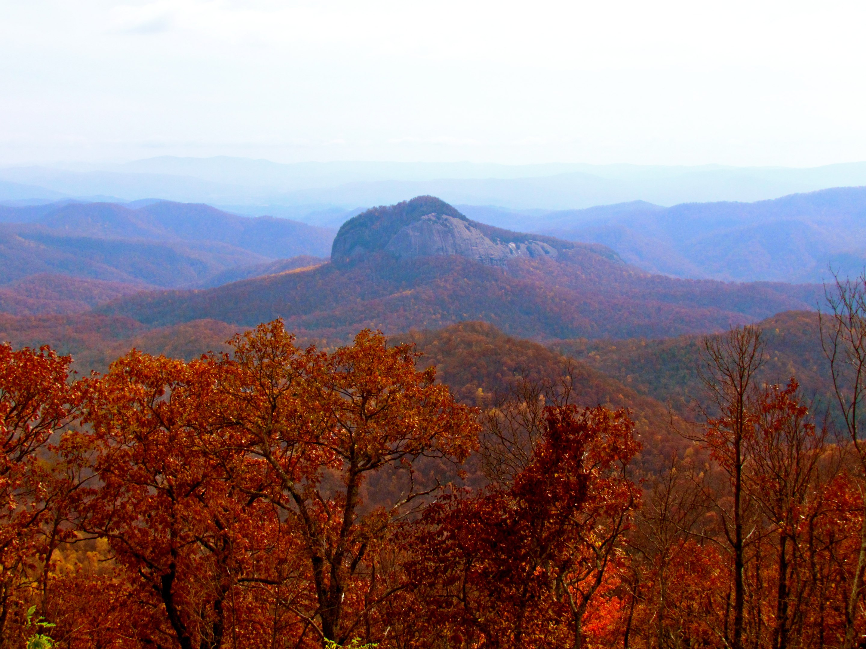 Pisgah National Forest