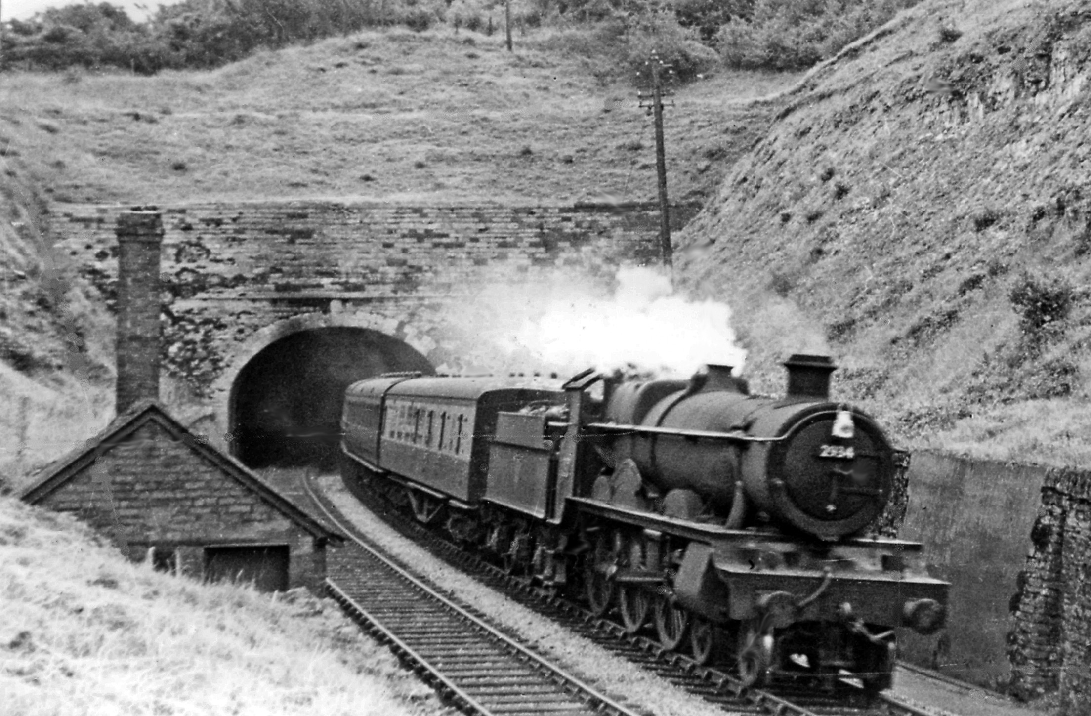 Steam rail history фото 30