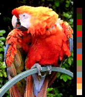 File:Screen color test Amiga 4096colors HAM.png