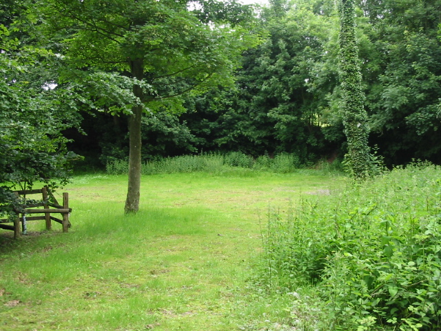 File:Small clearing in Limekiln Plantation - geograph.org.uk - 860380.jpg