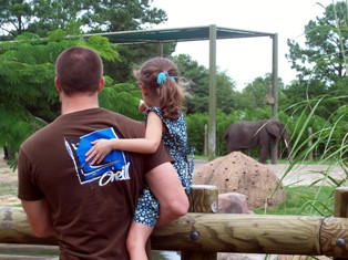 File:Summer zoo.jpg