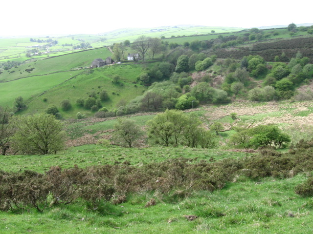 Towards Leycote - geograph.org.uk - 1292162