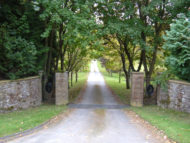 Track to Mount Misery - geograph.org.uk - 1506962