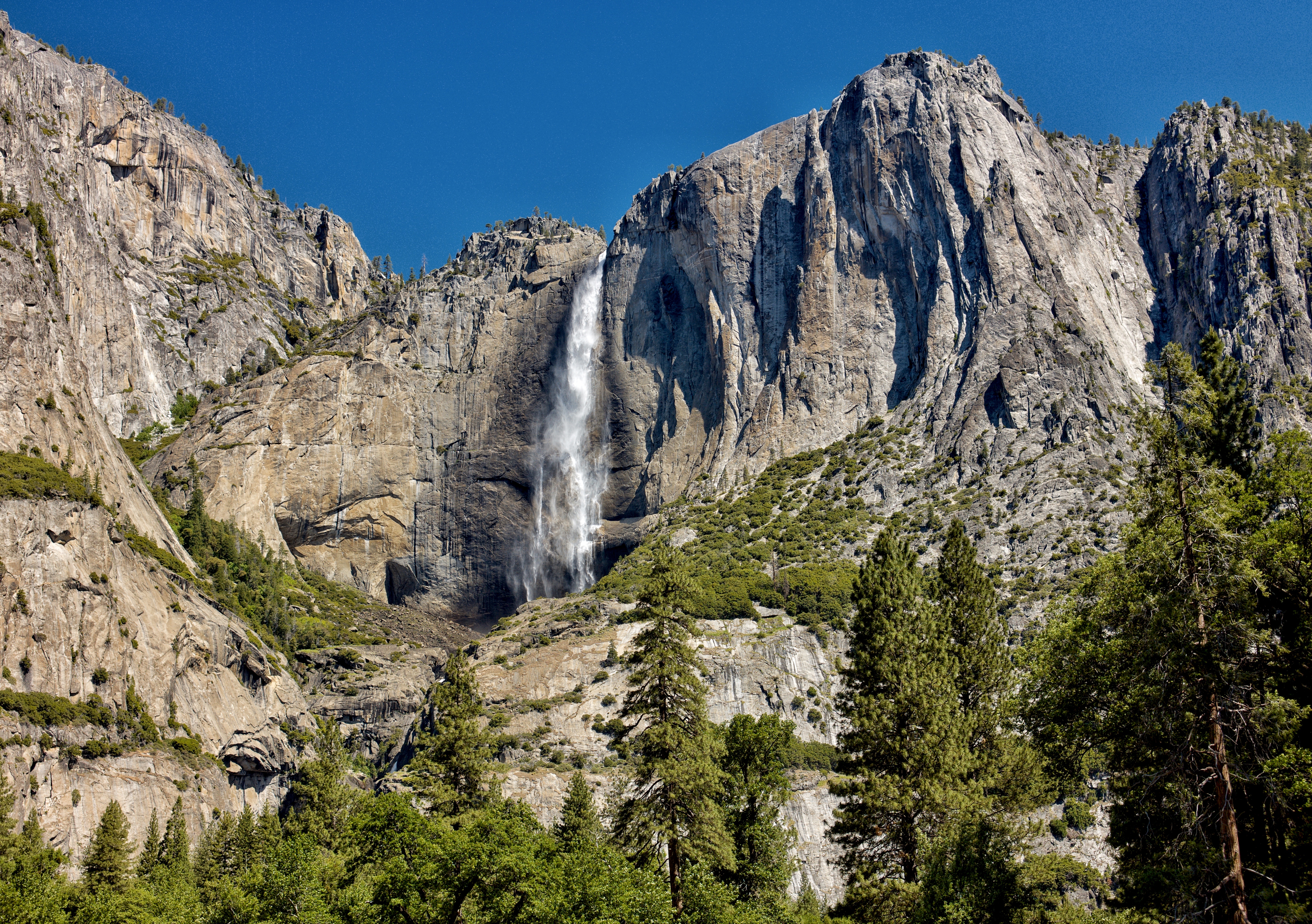 Исчезновение в йосемите. Ледники в Йеллоустоне и Йосемити. Yosemite Falls роза. Rose Yosemite Falls.