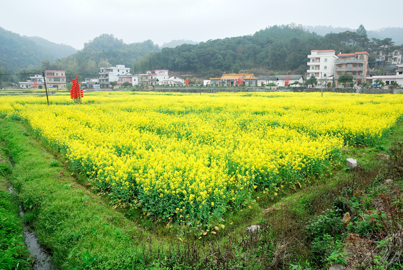 File:广州最美乡村—红山村 - panoramio (43).jpg