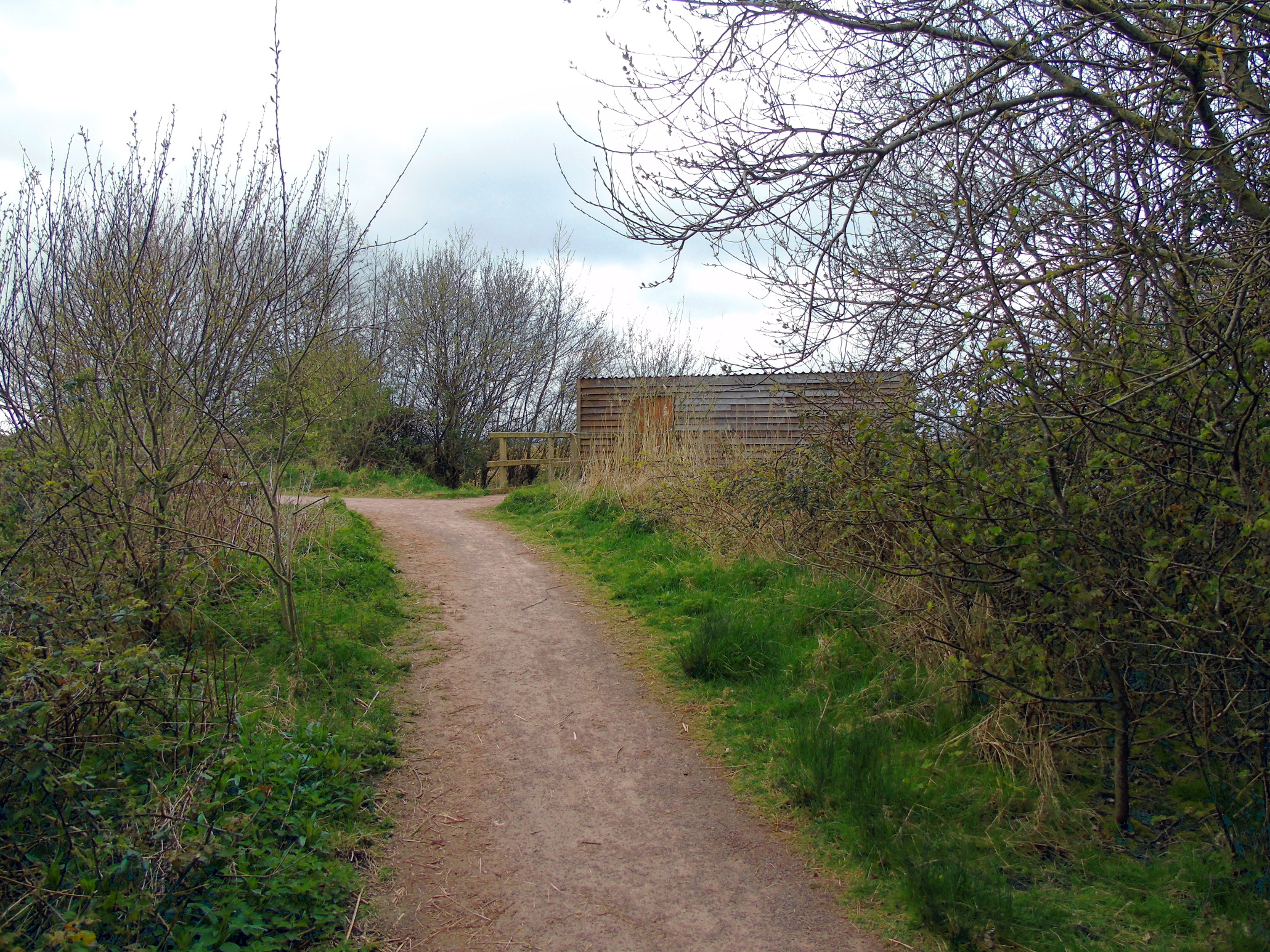 Bird hide - Wikipedia