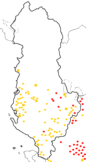 <span class="mw-page-title-main">Aromanians in Albania</span> Romance-speaking ethnic minority in Albania