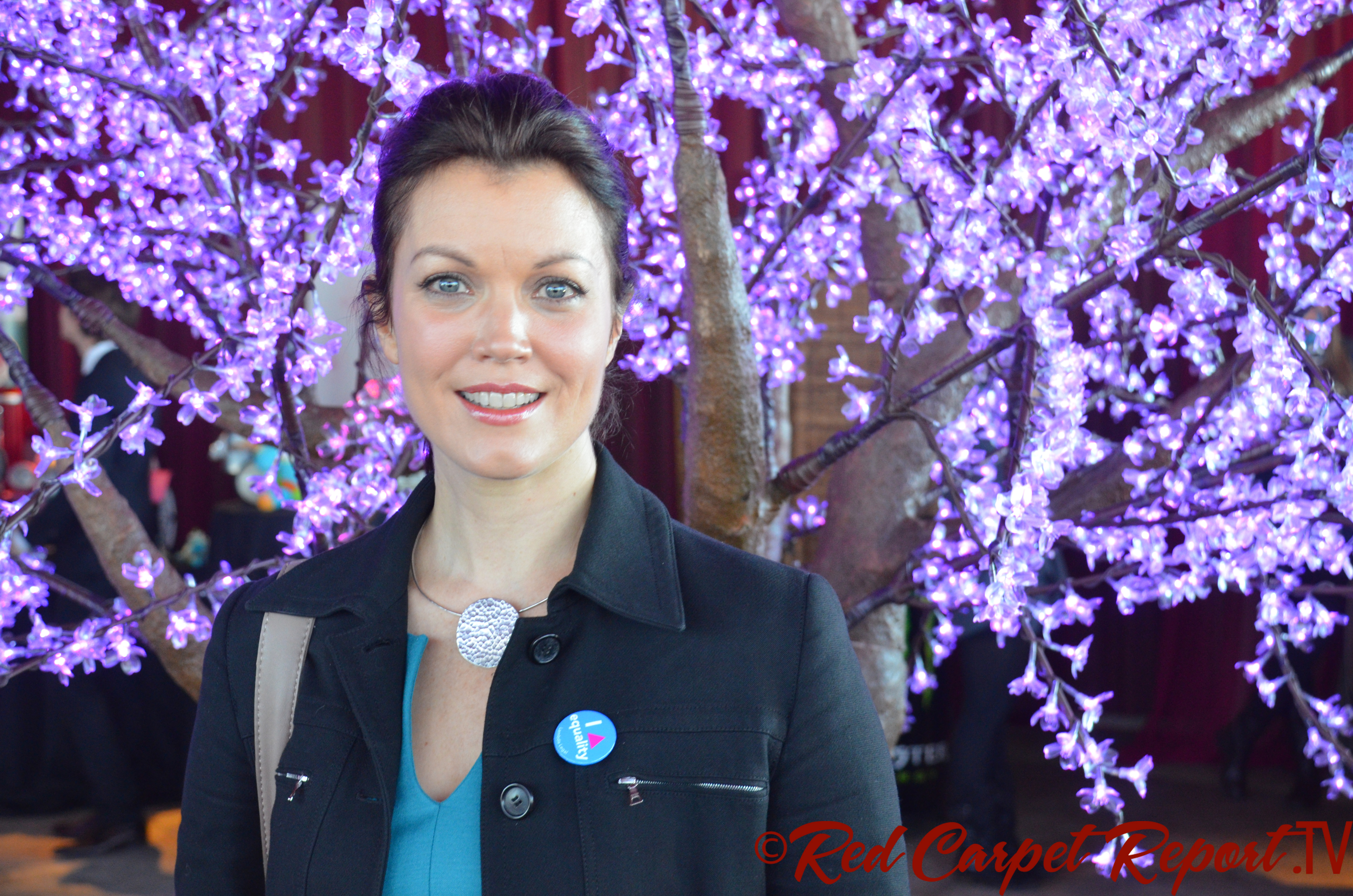 Bellamy Young 2013 1.jpg. 