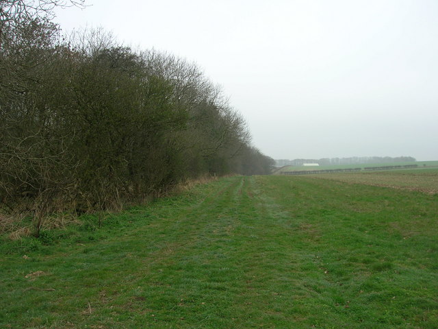 File:Bridleway Beside North Wood - geograph.org.uk - 1233275.jpg