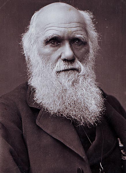 File Charles Darwin Photograph By Herbert Rose Barraud 1881 jpg 