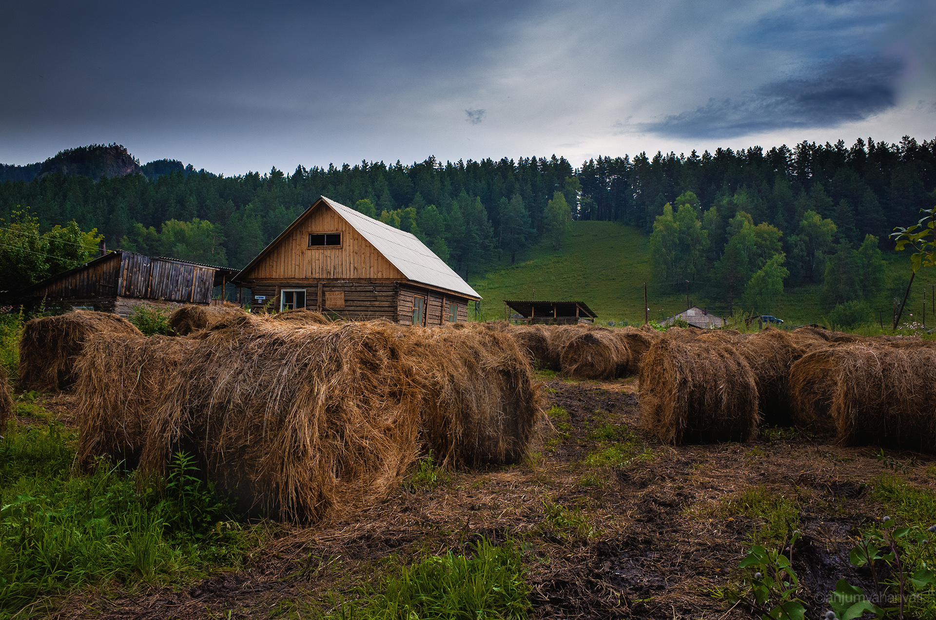 Сельская