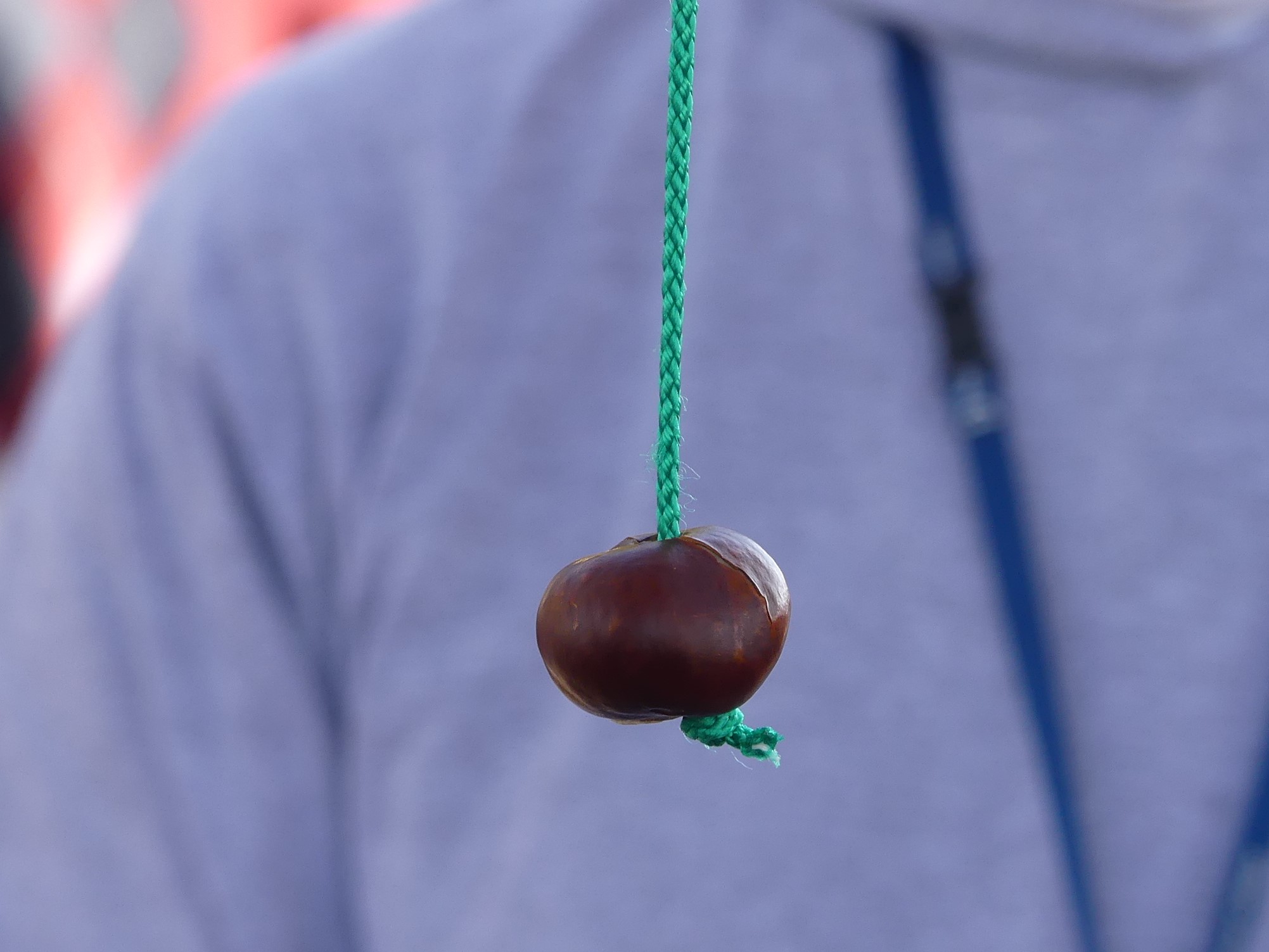 An image of someone holding a conker on a lace.