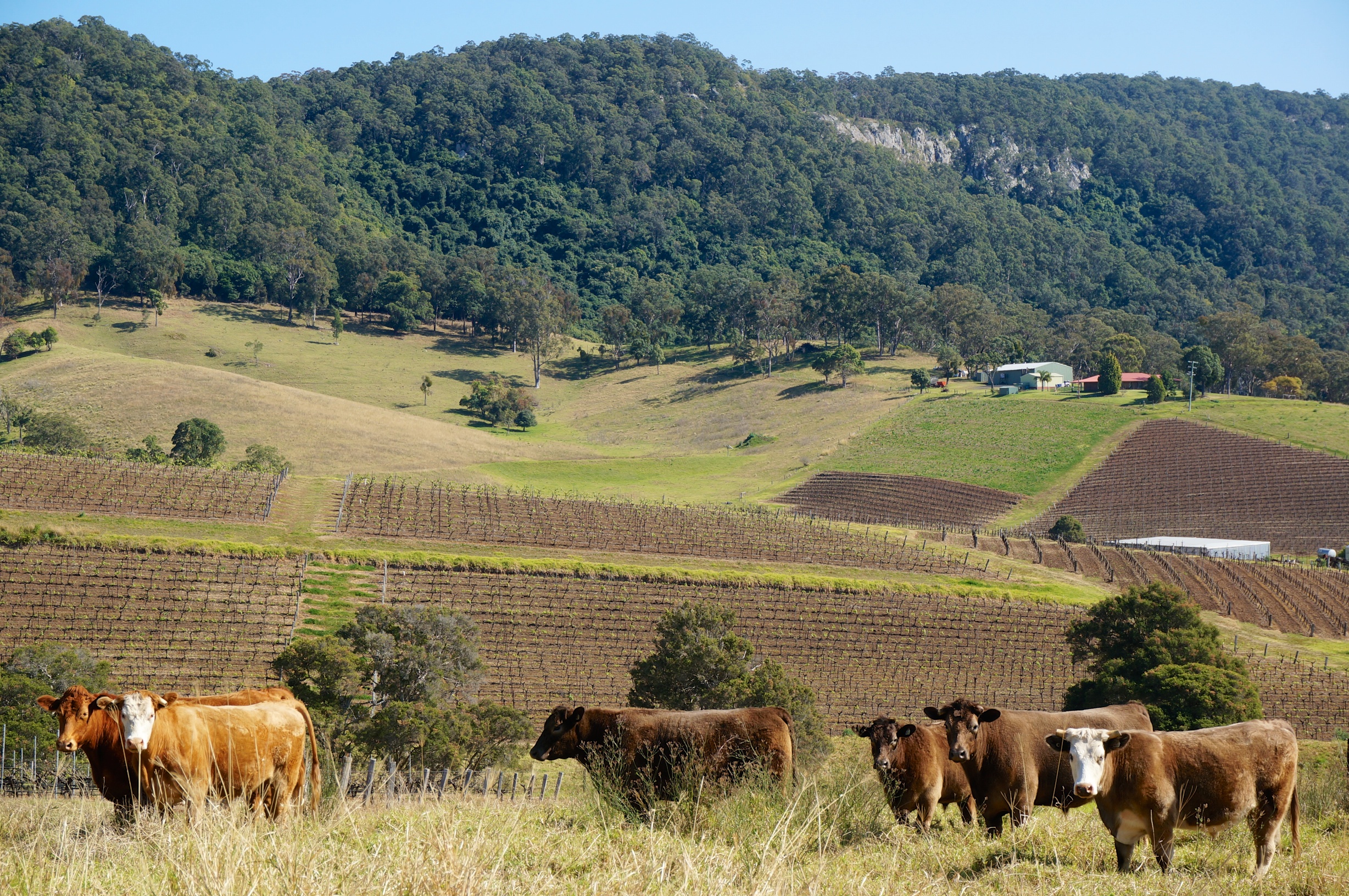 Hunter Region - Wikiwand