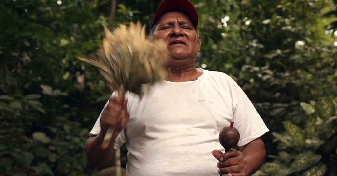 Curandero Amazonico