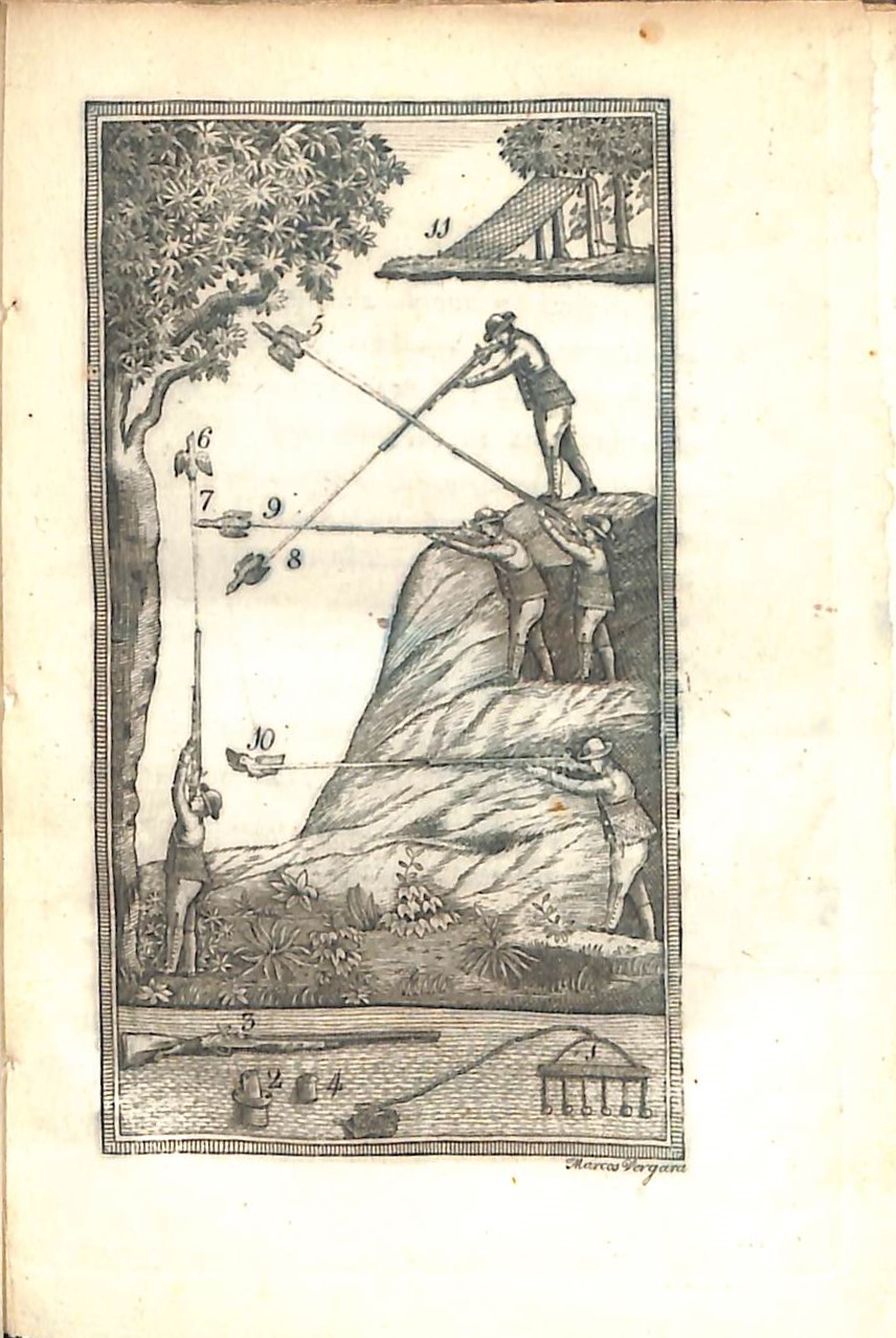 Grabado calcográfico de ''El observador en la diversión de caza...'' (1830)Las imágenes de este artículo proceden de la Biblioteca de Navarra y de la [[Biblioteca Navarra Digital
