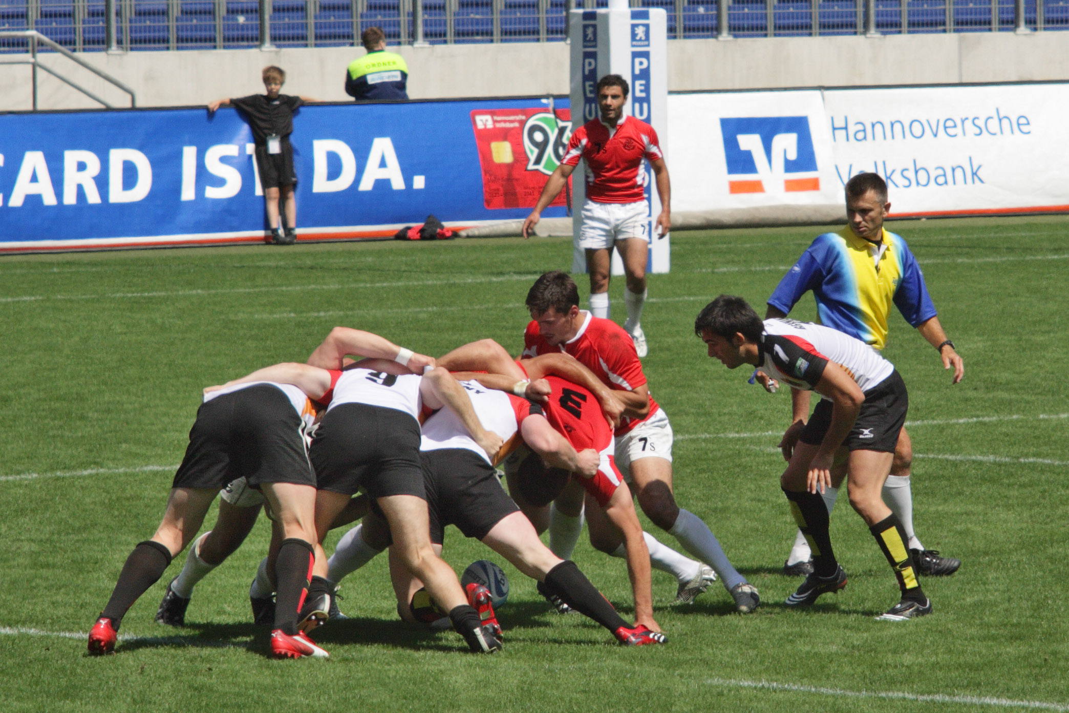 Eu só quero jogar rugby