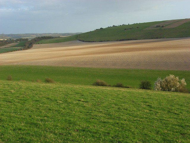 File:Farmland on the Moulsford Downs - geograph.org.uk - 721537.jpg