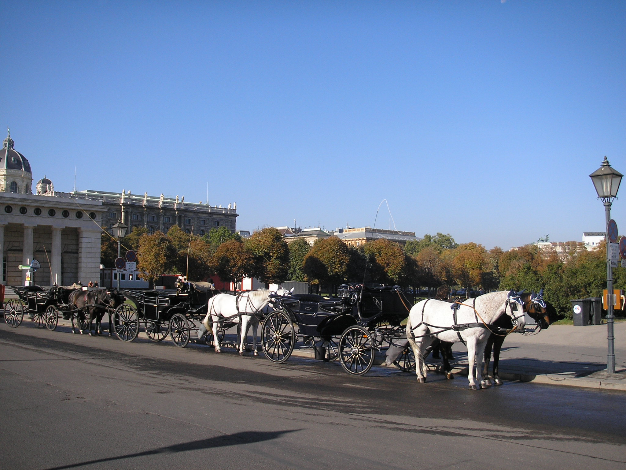 File:Fiaker Vienna October 2006 002.jpg - Wikimedia Commons